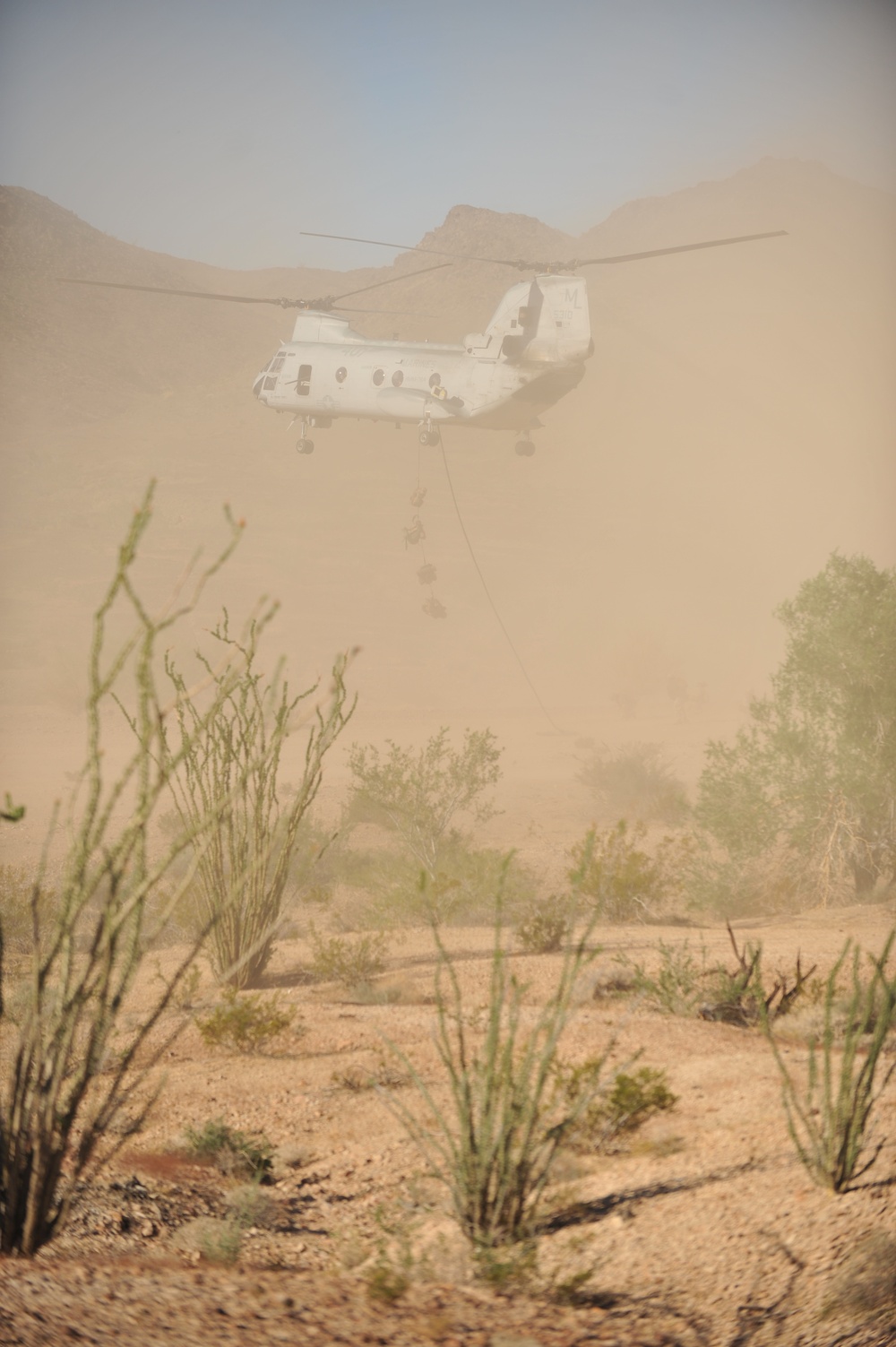 ANGLICO conducts close air support