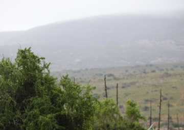 Where the Marines and the antelope play: Marines share South African training area with herds of blesbok, springbok