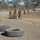 US, ADF compete during Talisman Sabre 2011