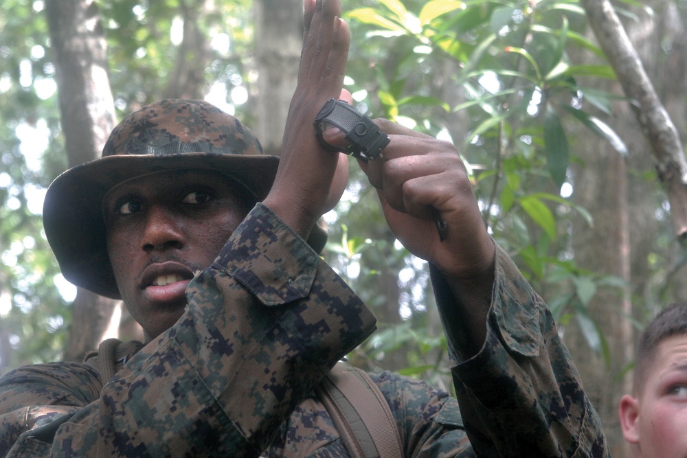 Wing Marines learn to survive jungle