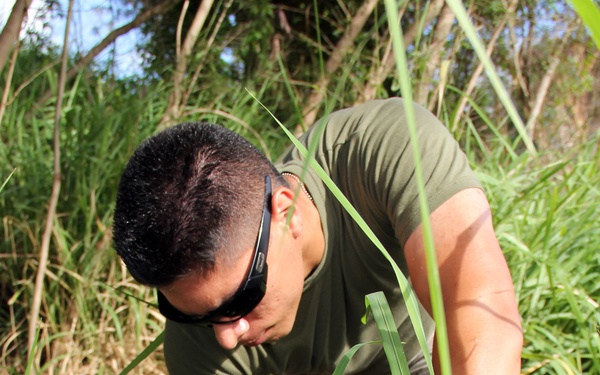 Marines, sailors aim to make difference during park clean-up