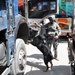 Military working dogs get nosy in bad guys' business