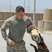 Military working dogs