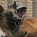 Military working dogs