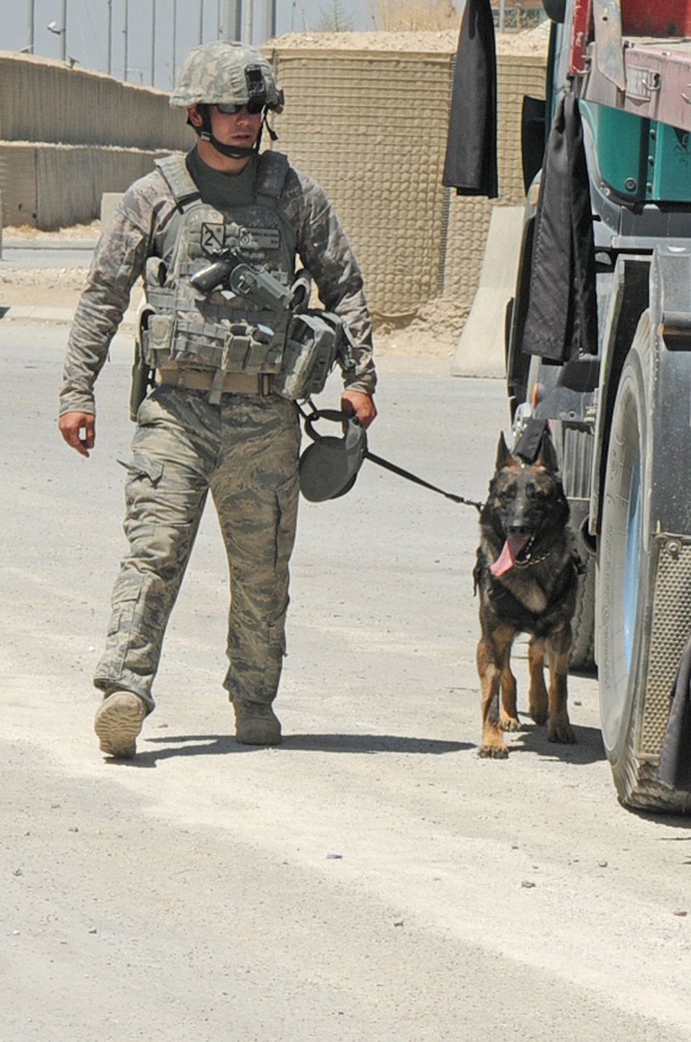 Military working dogs