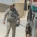 Military working dogs