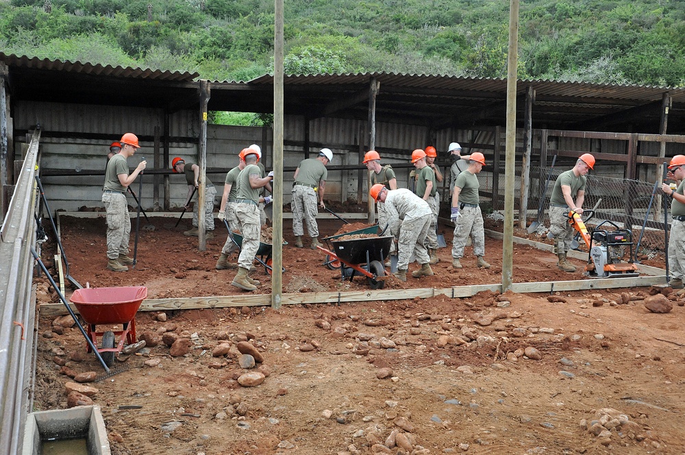 Shared Accord 2011