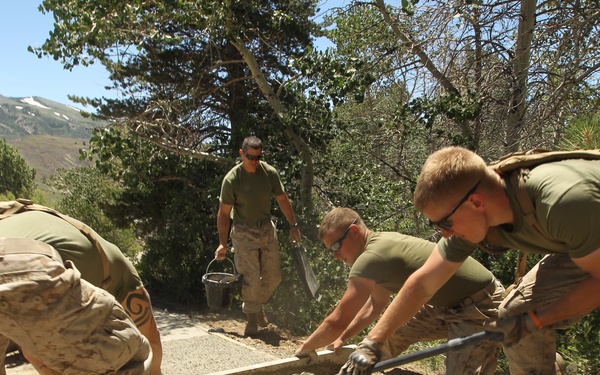 Engineers a crucial cog in the machine at Javelin Thrust