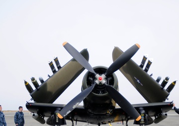 Centennial of Naval Aviation celebration