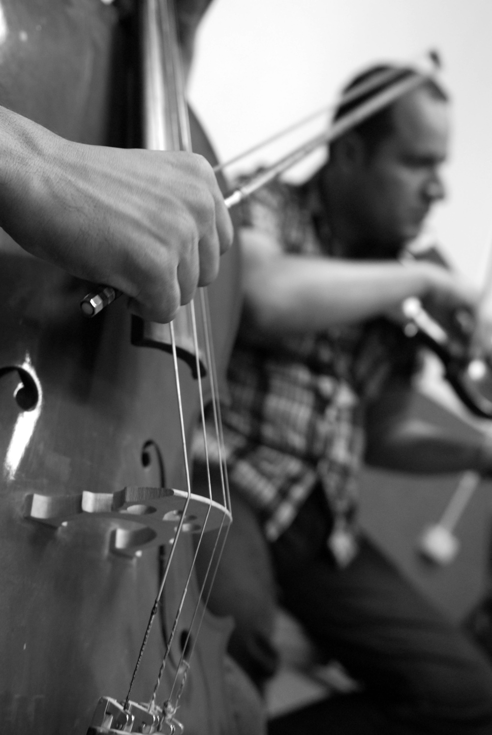 Universal language of music