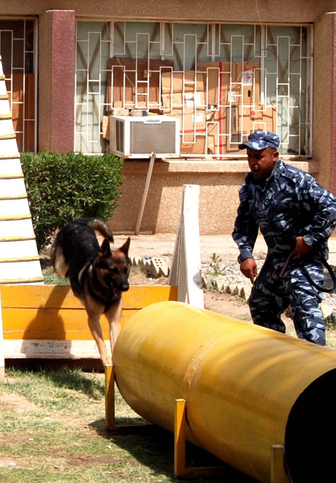 Baghdad Police College K9 handler graduation