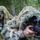 Air Force sniper team practices at Joint Base Lewis-McChord