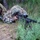 Air Force sniper team practices at Joint Base Lewis-McChord