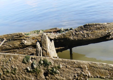 Exposed Clarksburg Ferry Wreckage.