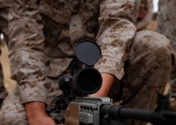 MEU Marines sight in on 'brilliance in the basics'