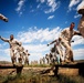 Warfighters shoot for peace during Exercise Khaan Quest 2011