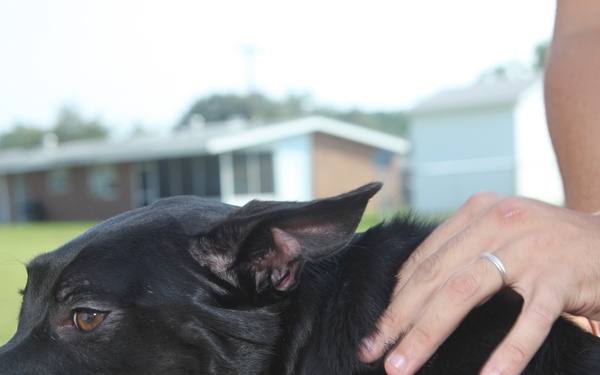 Man's best friend needs a drink, too