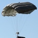 Parachutists deliver American flag for Rodeo opening ceremony