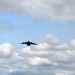 C-17 Globemaster III aircraft participate in competition missions for Rodeo 2011