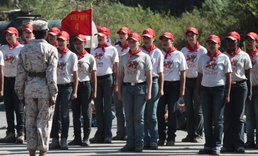 Devil Pups make the cut