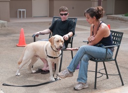Hawaii Fi-Do dog therapy for devil dogs
