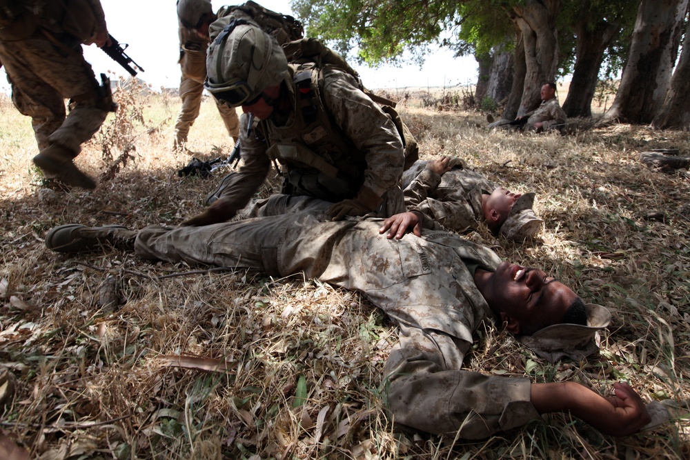 CLB 22 Marines conduct mass casualty training