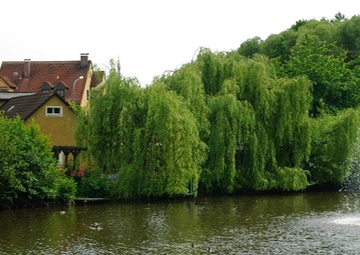 Grafenwoehr community