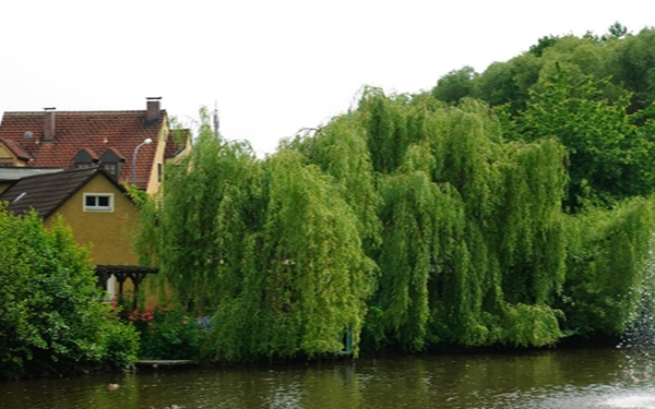 Grafenwoehr community