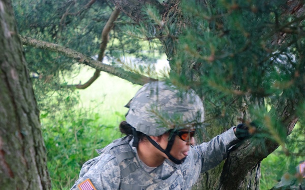 NATO Ultimate Warrior