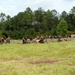 NMCB 7 Field Training Exercise