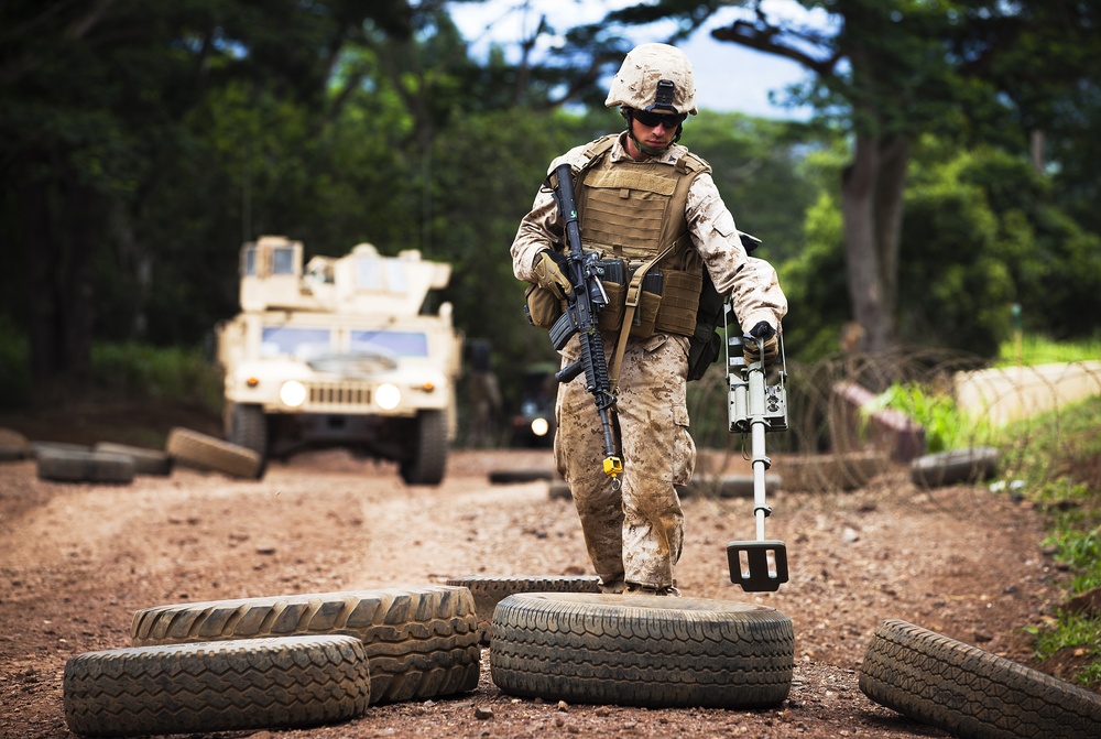 Purpose in the process: ‘America’s Battalion’ finishes training in Hawaii, prepares for Mojave Viper in California