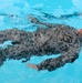 Soldiers splash into safety