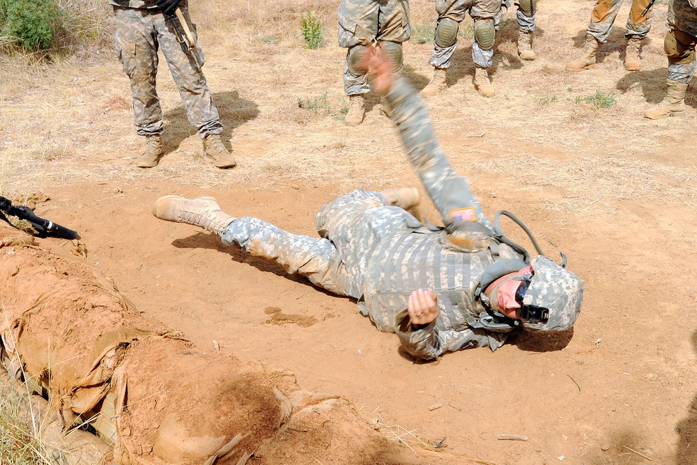 Task Force Raptor lines up for Warrior Tasks Lane