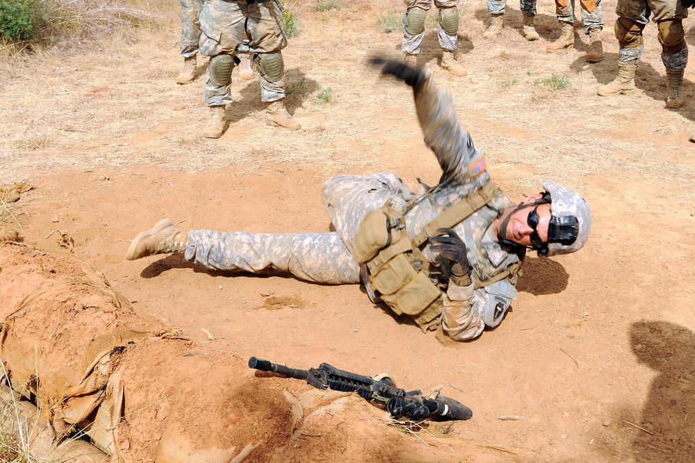 Task Force Raptor lines up for Warrior Tasks Lane