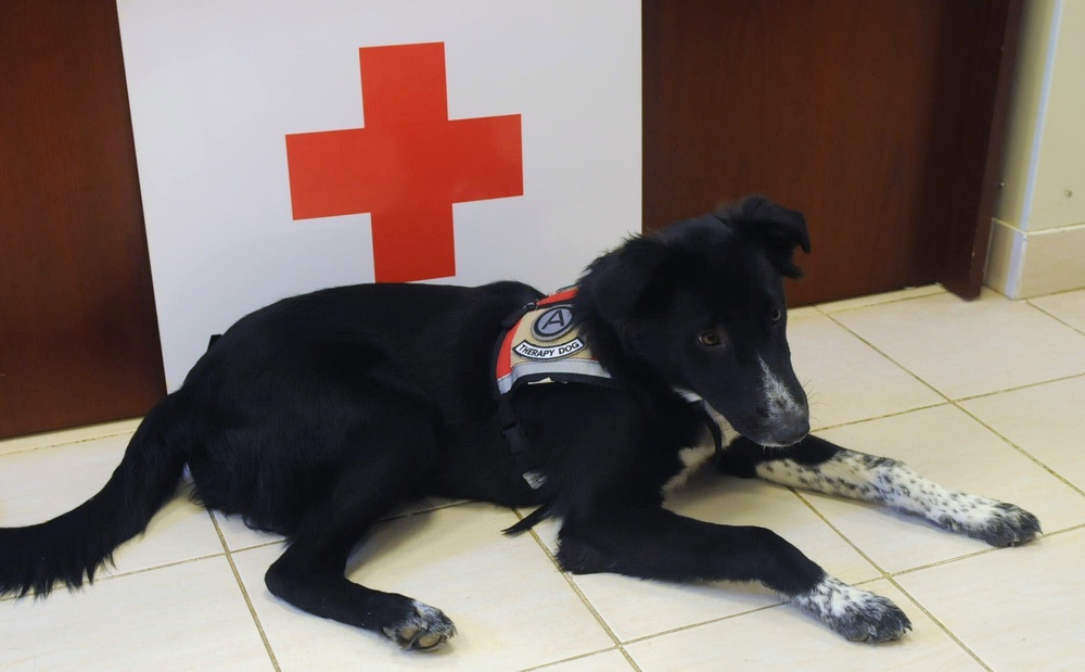 Third Army volunteers help Red Cross