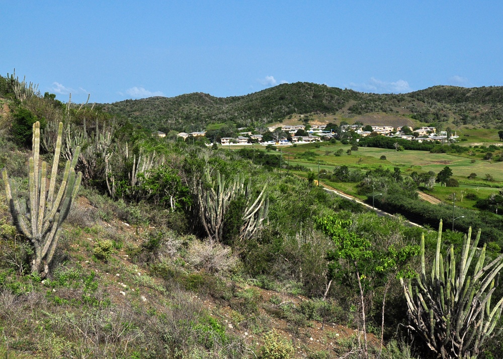 View at Naval Station Guantanamo Bay