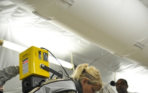 X-ray of a Great Dane