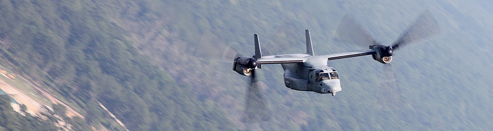 VMM-266