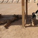 Iraqi soldiers complete marksmanship training