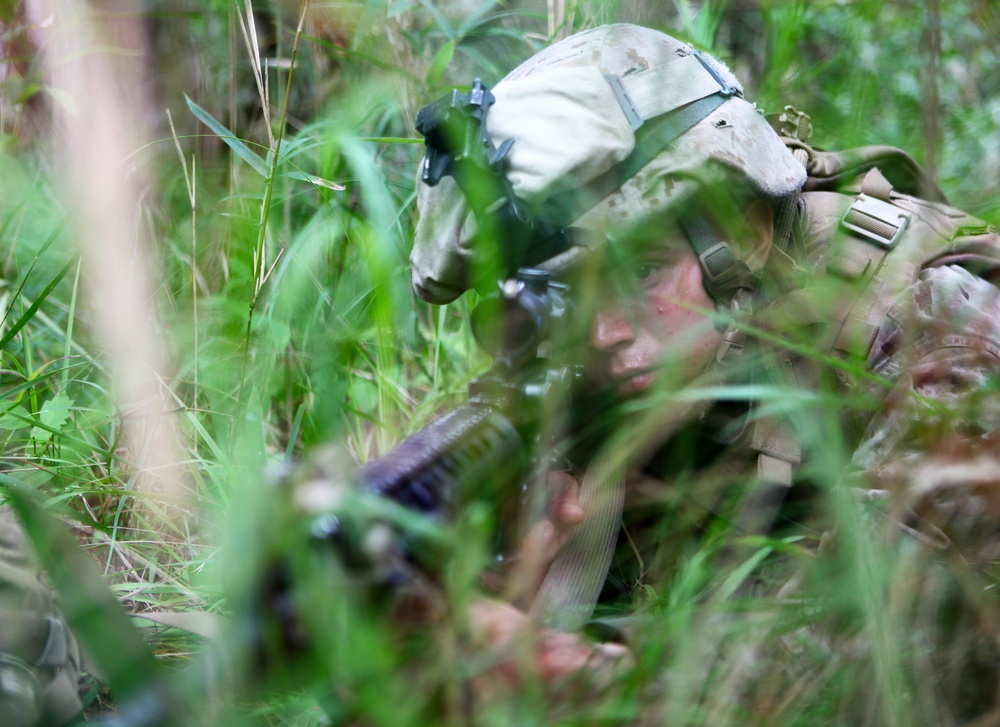 'Brilliance in the basics' prepares Marines for follow-on exercises, deployment