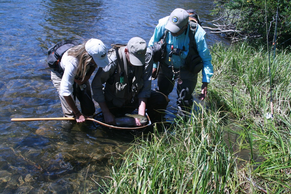 Fly-fishing provides escape, healing