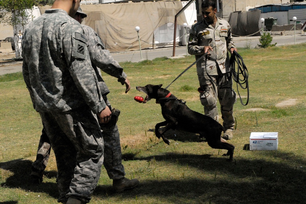 ‘Dagger’ Brigade soldiers train Iraqi army to utilize bomb-sniffing dogs