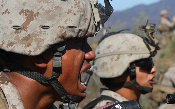 Lima Company conducts field training