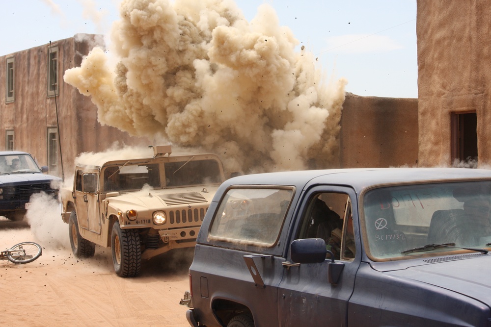 Buffalos conduct combat demonstration