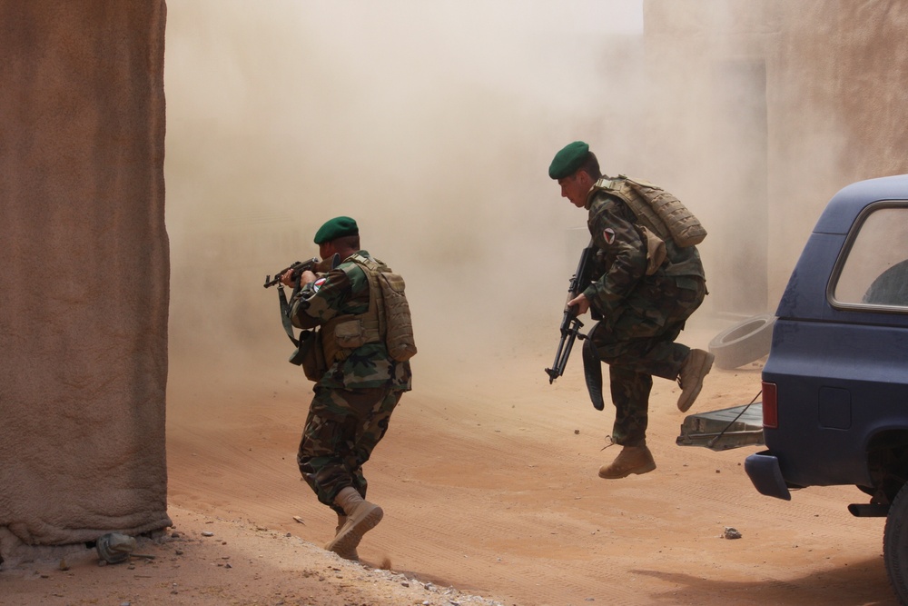 Buffalos conduct combat demonstration