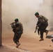 Buffalos conduct combat demonstration