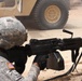Buffalos conduct combat demonstration