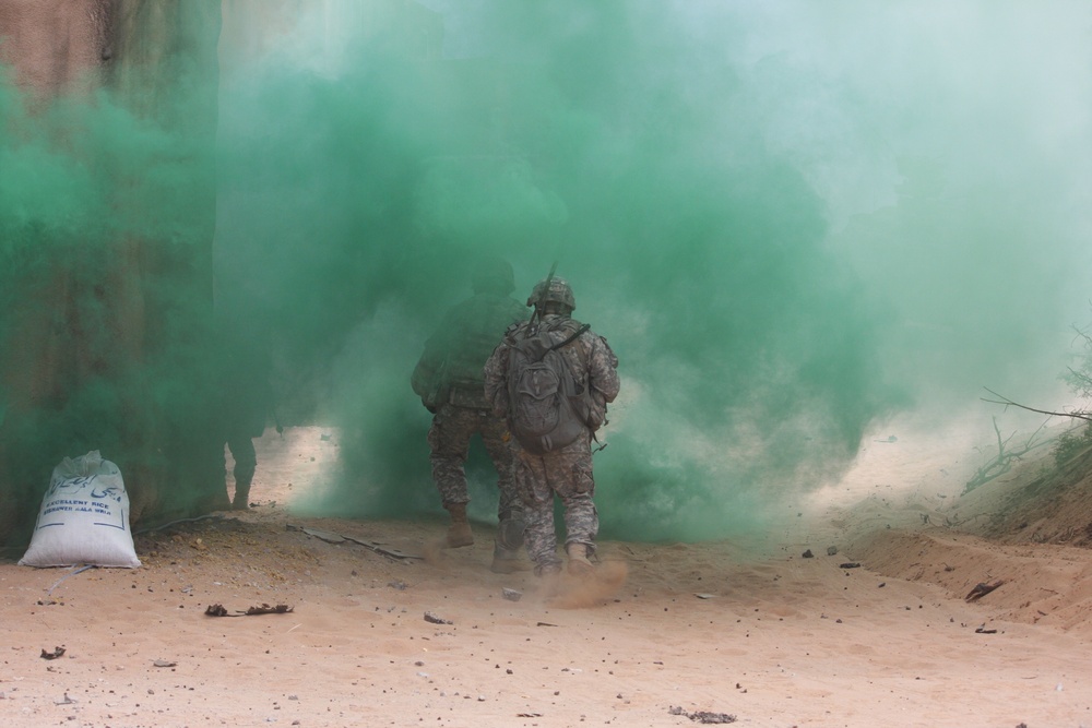 Buffalos conduct combat demonstration