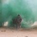 Buffalos conduct combat demonstration