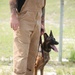 Military working dogs maintain important role beside their human counterparts